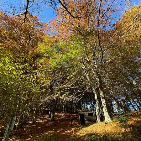 Hébergement de vacances à La Montagne Au Calme Bezins-Garraux