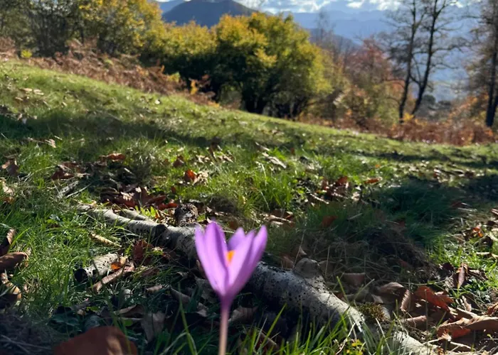 A La Montagne Au Calme