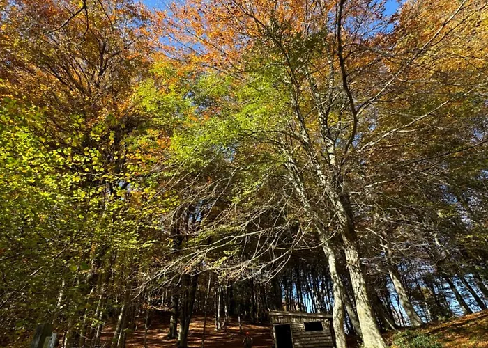 Сasa de vacaciones A La Montagne Au Calme Bezins-Garraux