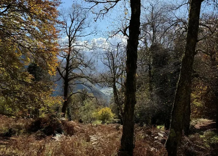 Сasa de vacaciones A La Montagne Au Calme Bezins-Garraux